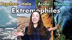 Extremophiles: Organisms That Live in Extremely Cold, Hot, Acidic, or Salty Environments | GEO GIRL