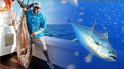 Yellowfin Tuna Fishing Adventure 200LB In Los Cabos MX