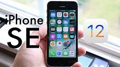 iOS 12 OFFICIAL On iPHONE SE! (Should You Update?) (Review)
