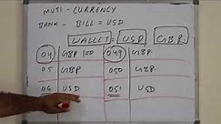 Chapter#11: Multi Currency Wallet System:Single Currency:Issuing:Payment Schemes