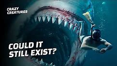 Megalodon: The Ocean’s Deadliest Shark