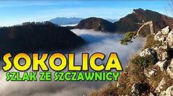 SOKOLICA Szlak ze Szczawnicy Jesienią || Sokolica Mountain Hiking Trail || Pieniny - Poland |4k|