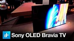 Sony XBR-A1E Bravia OLED - Hands on at CES 2017