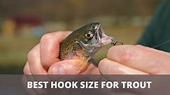 The Best Hook Size For Trout (For Every Situation)
