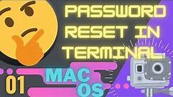 How to reset the password on a Mac with Terminal - Intel MacBook 