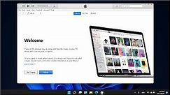 How to Download & Install iTunes on Windows 11 (it's free)