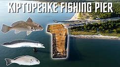 Fishing Kiptopeake Pier | Cape Charles VA (Ribbonfish, Croaker, Spot)