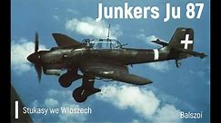 Junkers Ju 87 | we Włoszech
