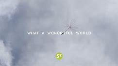 S7 Airlines | What a Wonderful World
