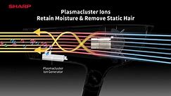 Sharp Plasmacluster Hair Dryer
