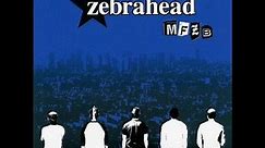 Zebrahead - Expectations