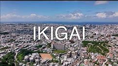 Finding meaning in everyday life "IKIGAI"