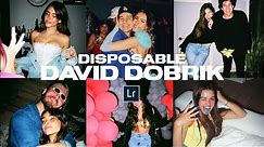 DAVID DOBRIK Disposable Camera Look + Mobile Preset