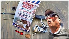 A Simple Way To Catch Catfish With Magic Bait From Walmart