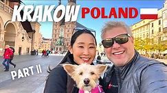 Krakow Poland - Fun, Food and The Worlds's BEST Vodka tasting!