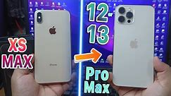 Turn your iPhone XS MAX easily into iPhone 12/13 Pro Max!!! | [EASY DIY] $5 ONLY! (LEGIT!)