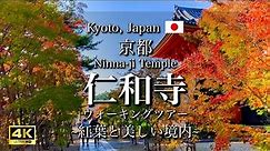Kyoto Japan "Ninna-ji Temple" Beautiful Autumn Foliage | World Heritage Sites in Japan [4K]