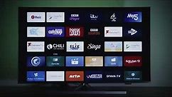 How to Play a Demo Video on your Philips TV