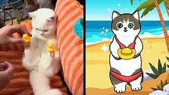 Cat Memes: The CUTIEST Cat Videos of 2024! 🤣 BEST Compilation