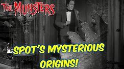 Munsters!--"Spot" the Pet- Mysterious Origins Explained!--ALL Versions!!
