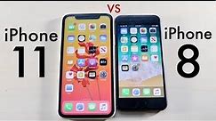 iPhone 11 Vs iPhone 8 In 2023! (Comparison) (Review)