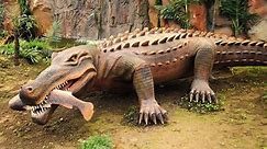 Top 8 Largest Crocodiles Ever