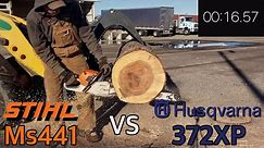 Stihl Ms441 vs Husqvarna 372xp Cutting Competition