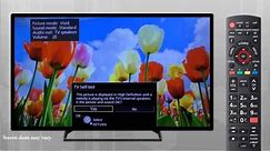 Panasonic VIERA Television - How to perform a TV Self Test