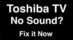 Toshiba TV No Sound - Fix it Now