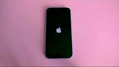 Apple iPhone 12 iOS 15 Boot animation