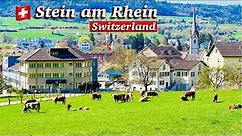 Stein am Rhein , A Wonder Medieval Town in Switzerland 4K | Spring In Switzerland | Swiss View