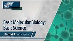 Basic Molecular Biology: Basic Science – Bacterial Transcription