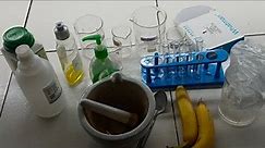 DNA ISOLATION PRACTICAL – STEP-BY-STEP GUIDE AND RESULTS!" - CBSE CLASS 12 BIOLOGY , #biologylab