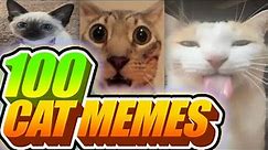 I Voiceovered 100 Cat Memes