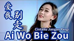 Ai Wo Bie Zou 爱我别走 Helen Huang Cover - Lagu Mandarin Lirik Terjemahan