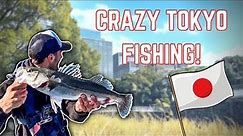 A guide to fishing in Tokyo - THE URBAN FISHING CAPITAL OF THE WORLD 🏙️ 🇯🇵 (4K)