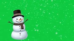 Animated Funny Snowman Snowfall Isolated Green Stock Footage Video (100% Royalty-free) 1111002525 | Shutterstock
