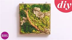 How to Make Preserved Moss Wall Art - video Dailymotion