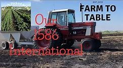 Our 1586 International Tractor
