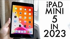 iPad Mini 5 In 2023! (Still Worth Buying?) (Review)