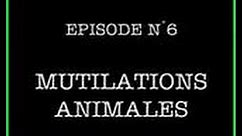 Dossiers Ovni 06 Mutilations Animales