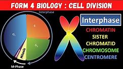 Form 4 C6 Biology Cell Division : Cell Cycle, Interphase, S Phase, Chromatin vs Chromosome (2 of 6)