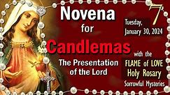 Day 7, NOVENA for the PRESENTATION of the LORD, CANDLEMAS🌹Friday FLAME OF LOVE Rosary🌹Sorrowful Myst
