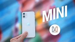 iPhone 12 mini Review: I’m in LOVE!