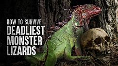 How to Survive the Deadliest Monster Lizards