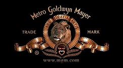 Metro-Goldwyn-Mayer (2008)