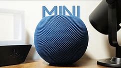 Apple HomePod Mini 2023 Long Term Review: Great Sound With a Catch!