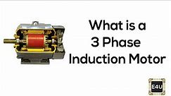 3 Phase Induction Motor: Construction and Working Principle