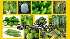 Types of Gourd | 11 types of Gourds |Gourd family with pictures | vegetables |