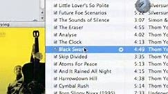 How To Delete Album Art From Your ITunes Display If You Have A Mac